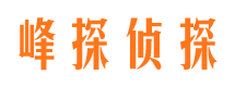 日喀则找人公司